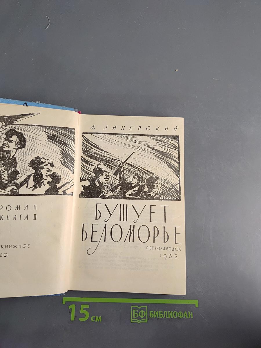 Бушует Беломорье