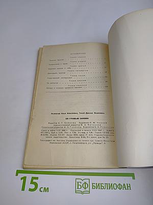 За гранью закона