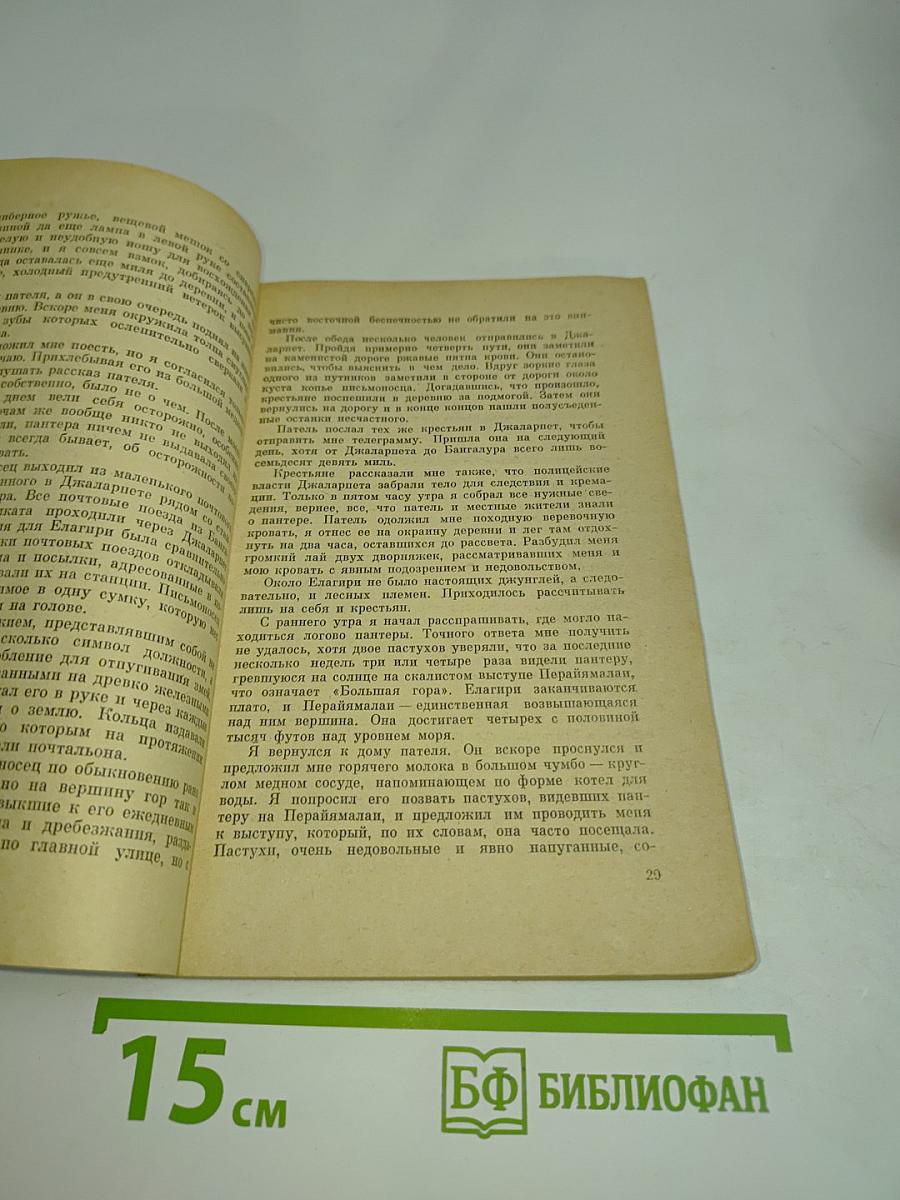 Черная пантера из Шиванипали