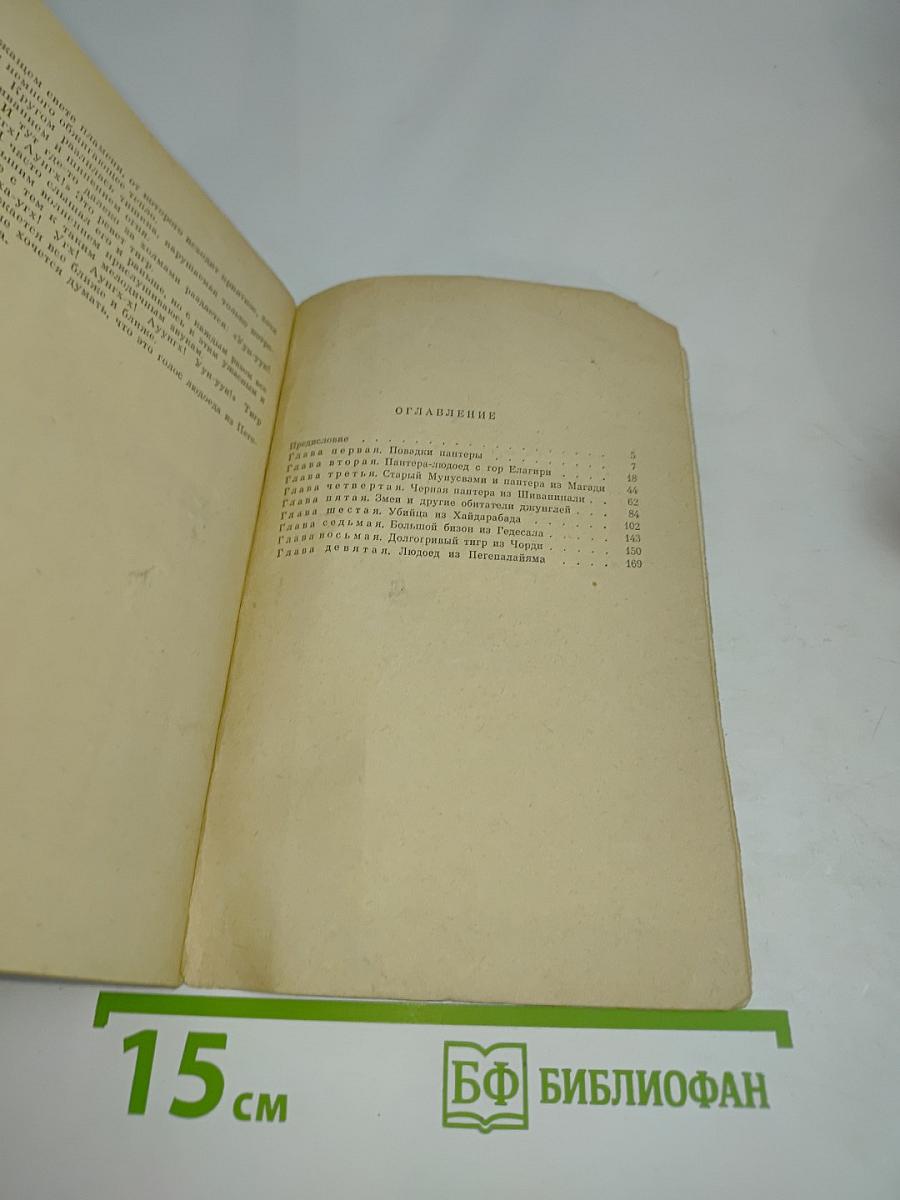 Черная пантера из Шиванипали