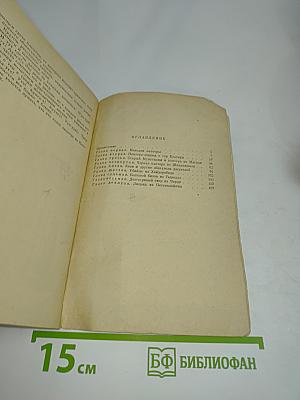 Черная пантера из Шиванипали
