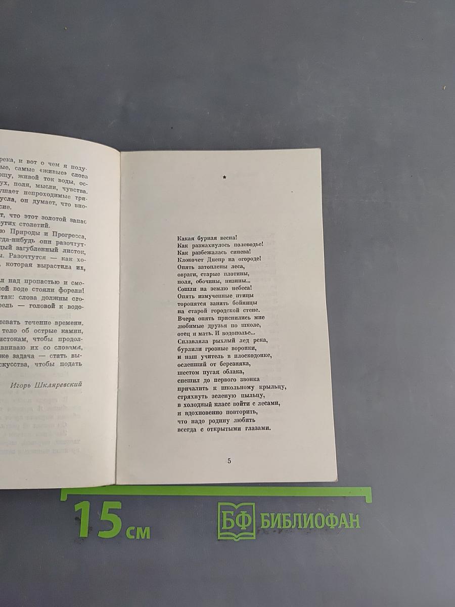 Ревность