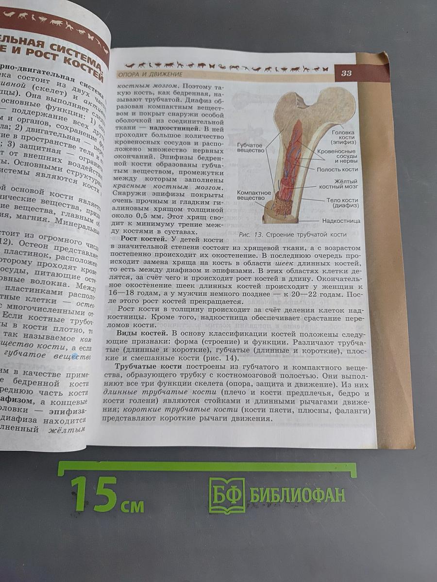 Биология. 8 класс. Учебник