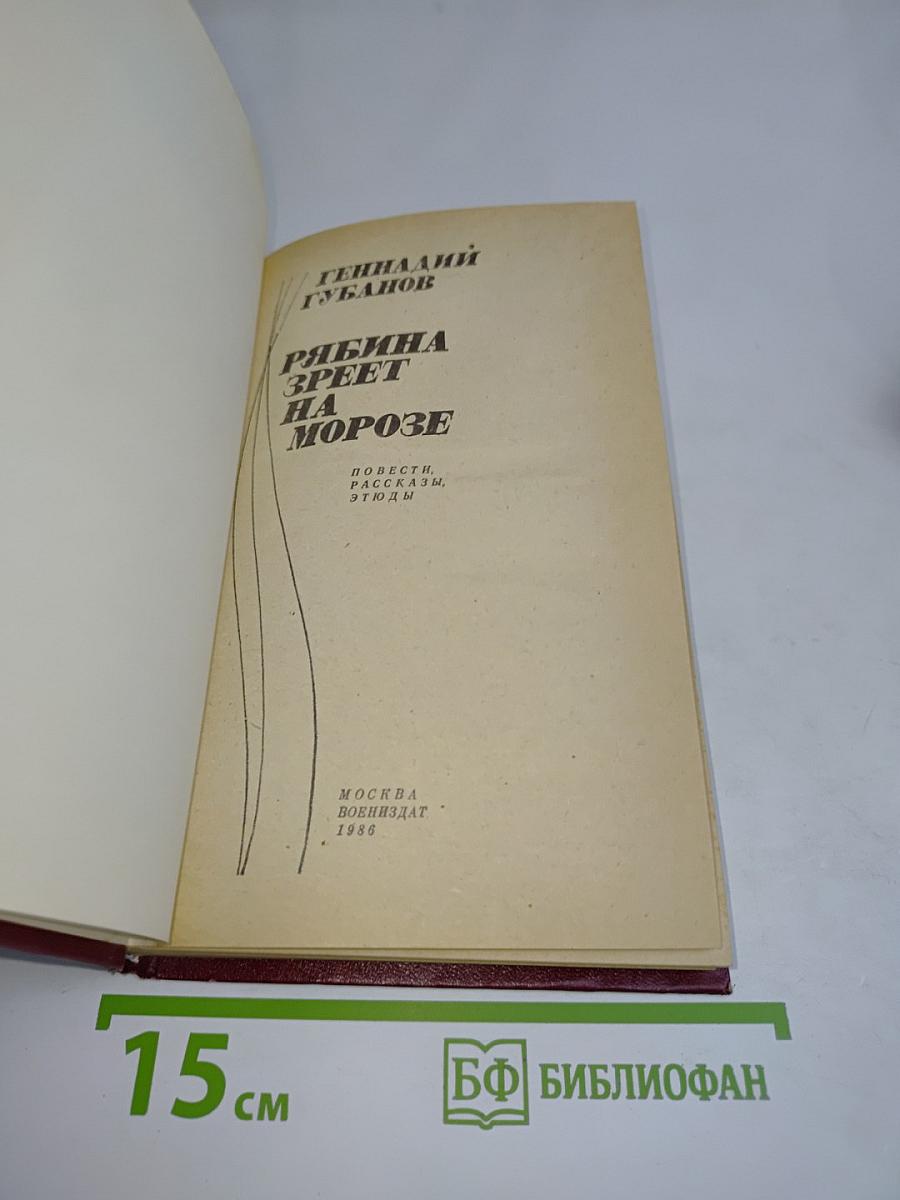 Рябина зреет на морозе