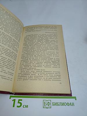 Рябина зреет на морозе