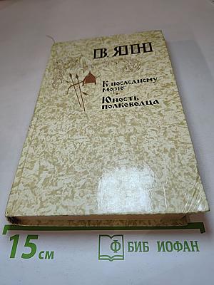 К последнему морю. Юность полководца
