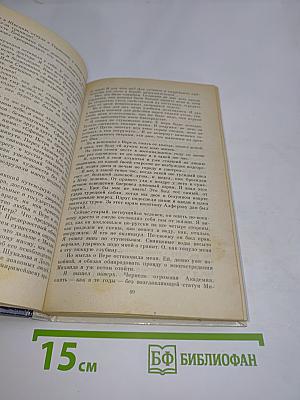 Одеты камнем. Радищев