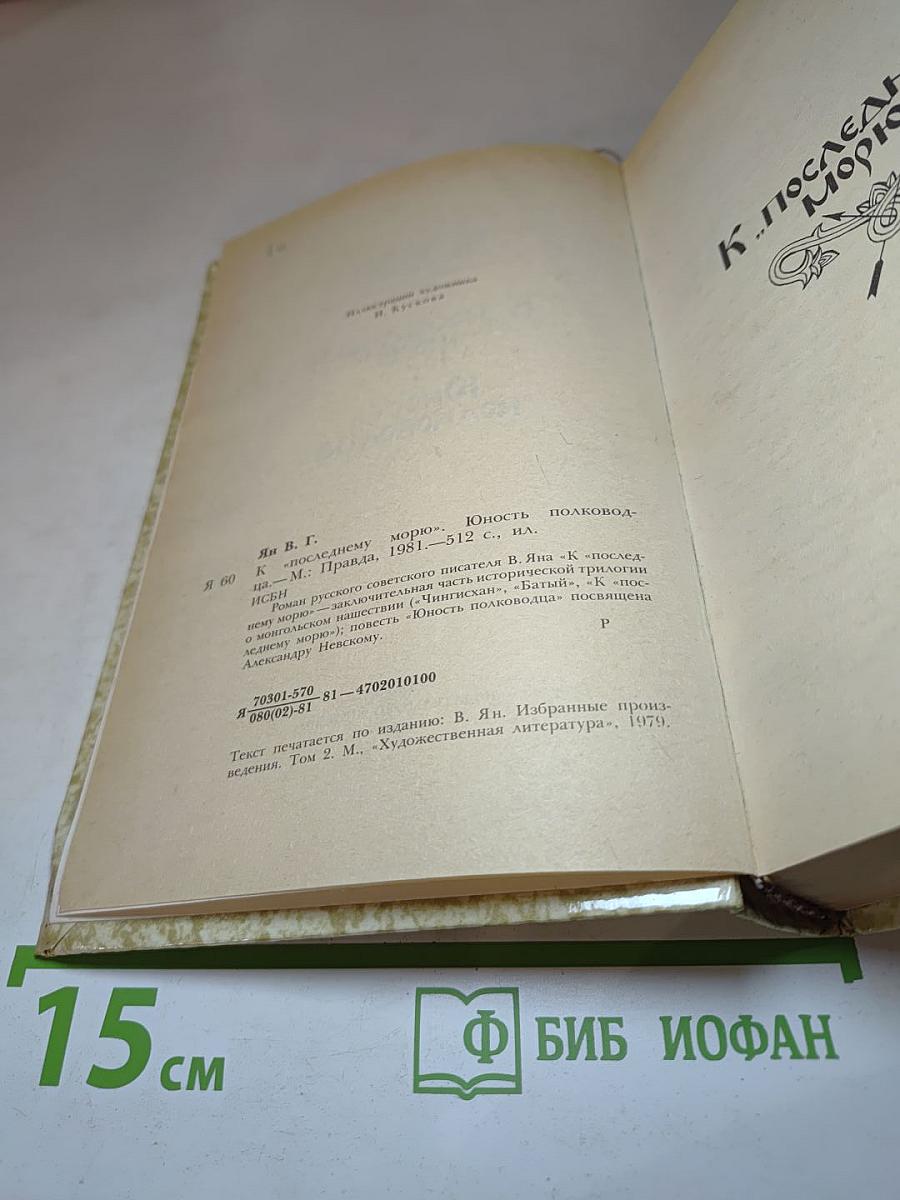 К последнему морю. Юность полководца