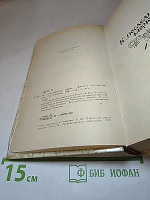 К последнему морю. Юность полководца