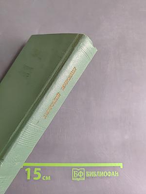 Соловецкая чайка. Книга лирики