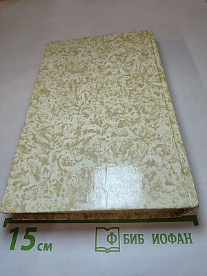 К последнему морю. Юность полководца