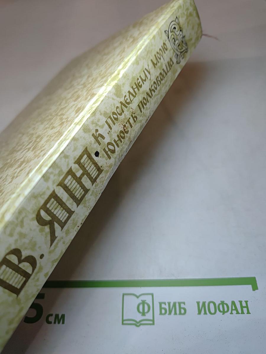 К последнему морю. Юность полководца