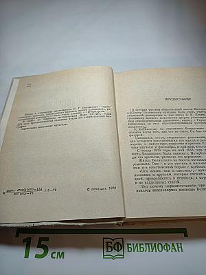 Белинский в Петербурге