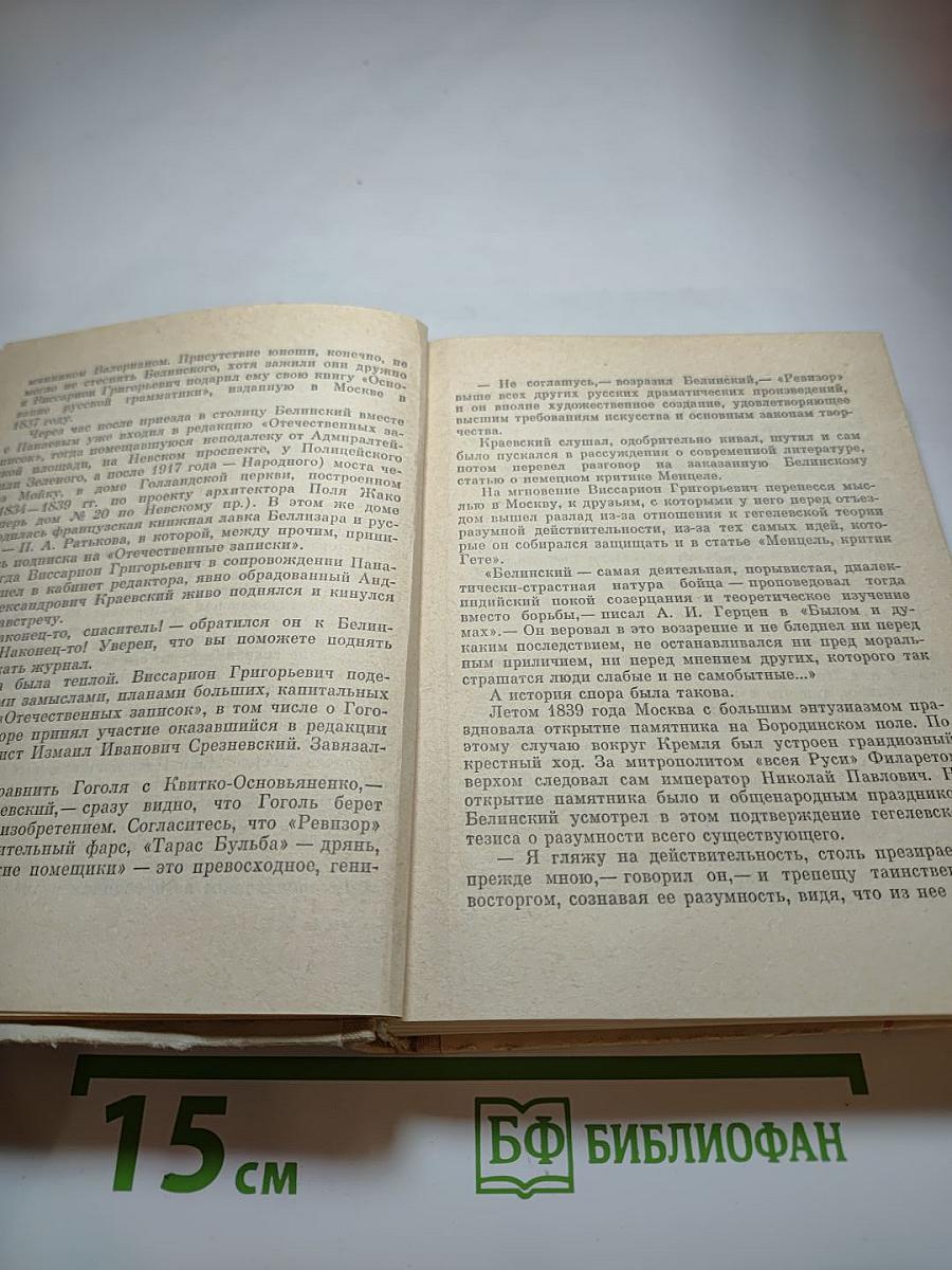 Белинский в Петербурге