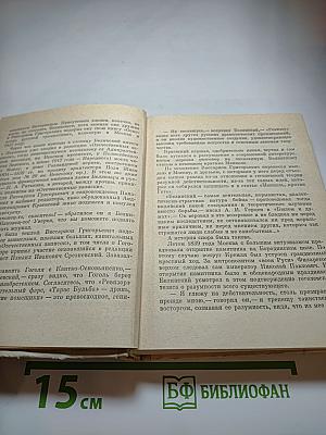 Белинский в Петербурге