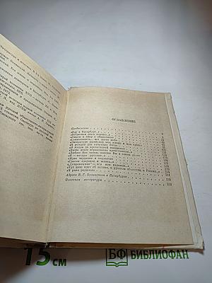 Белинский в Петербурге