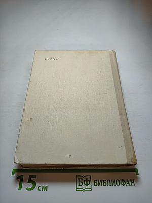 Белинский в Петербурге