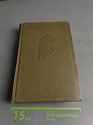 Собрание сочинений. Том семнадцатый. Письма 1845–1886 гг.