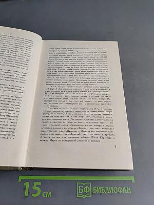 Собрание сочинений. Том семнадцатый. Письма 1845–1886 гг.