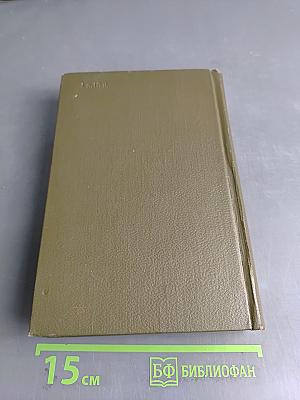 Собрание сочинений. Том семнадцатый. Письма 1845–1886 гг.
