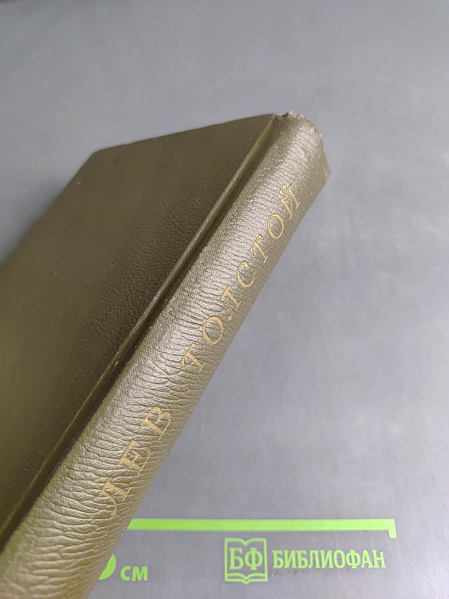 Собрание сочинений. Том семнадцатый. Письма 1845–1886 гг.