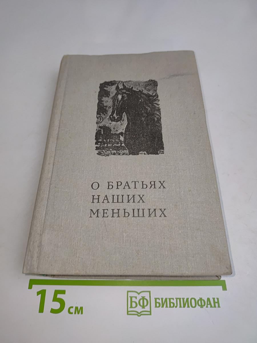 О братьях наших меньших