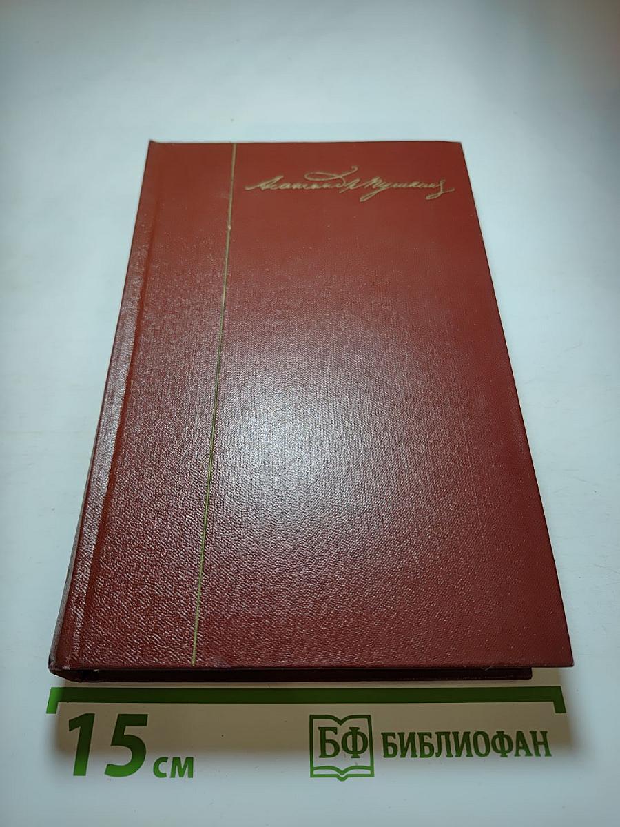 Собрание сочинений. Том шестой. Критика и публицистика