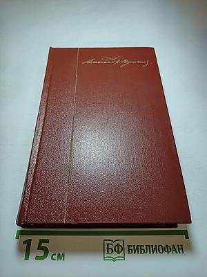 Собрание сочинений. Том шестой. Критика и публицистика