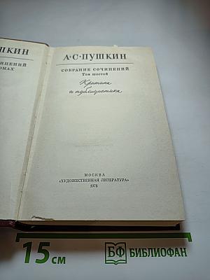Собрание сочинений. Том шестой. Критика и публицистика
