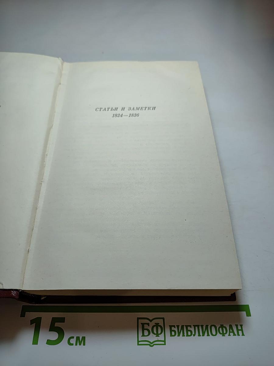 Собрание сочинений. Том шестой. Критика и публицистика