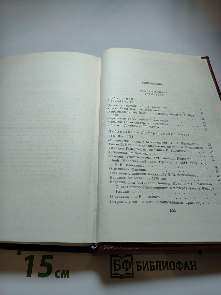 Собрание сочинений. Том шестой. Критика и публицистика