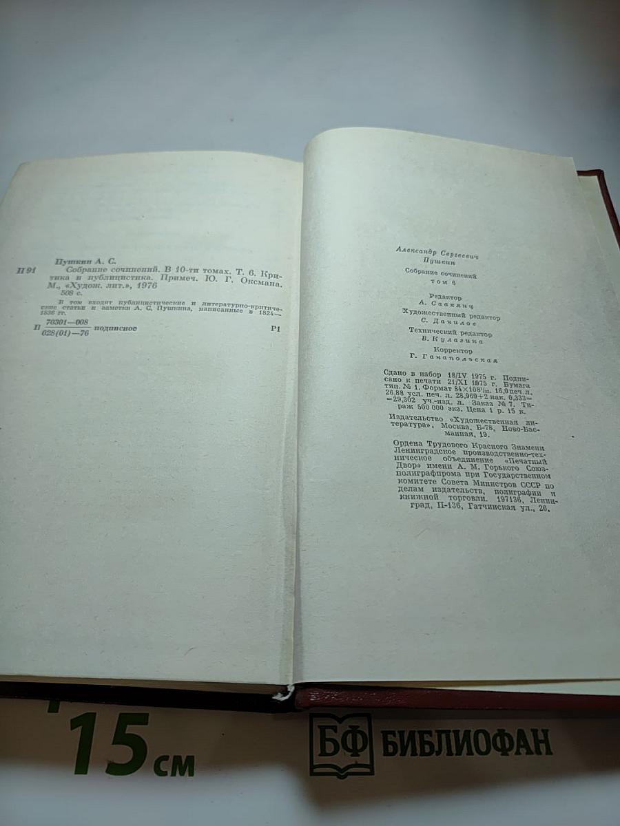 Собрание сочинений. Том шестой. Критика и публицистика