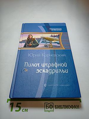 Пилот штрафной эскадрильи