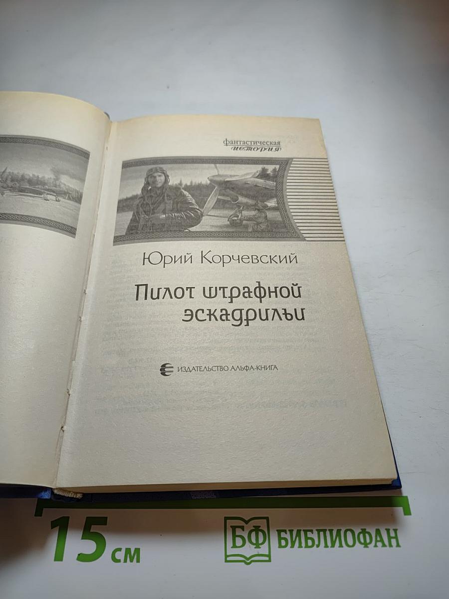 Пилот штрафной эскадрильи