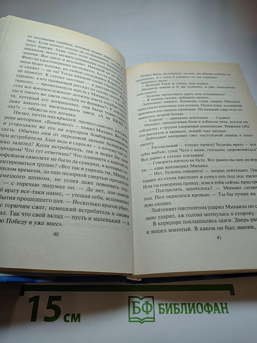 Пилот штрафной эскадрильи