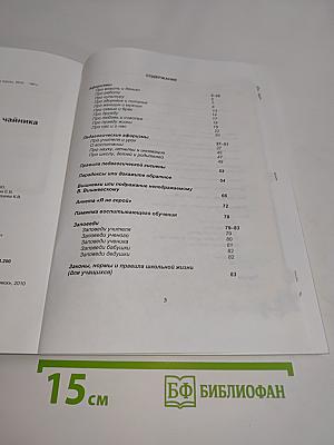 Записки из большого чайника