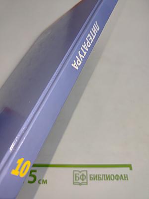 Литература. Учебник для 10 класса. В двух частях. Часть 2