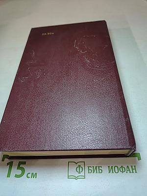 Русская бытовая сказка