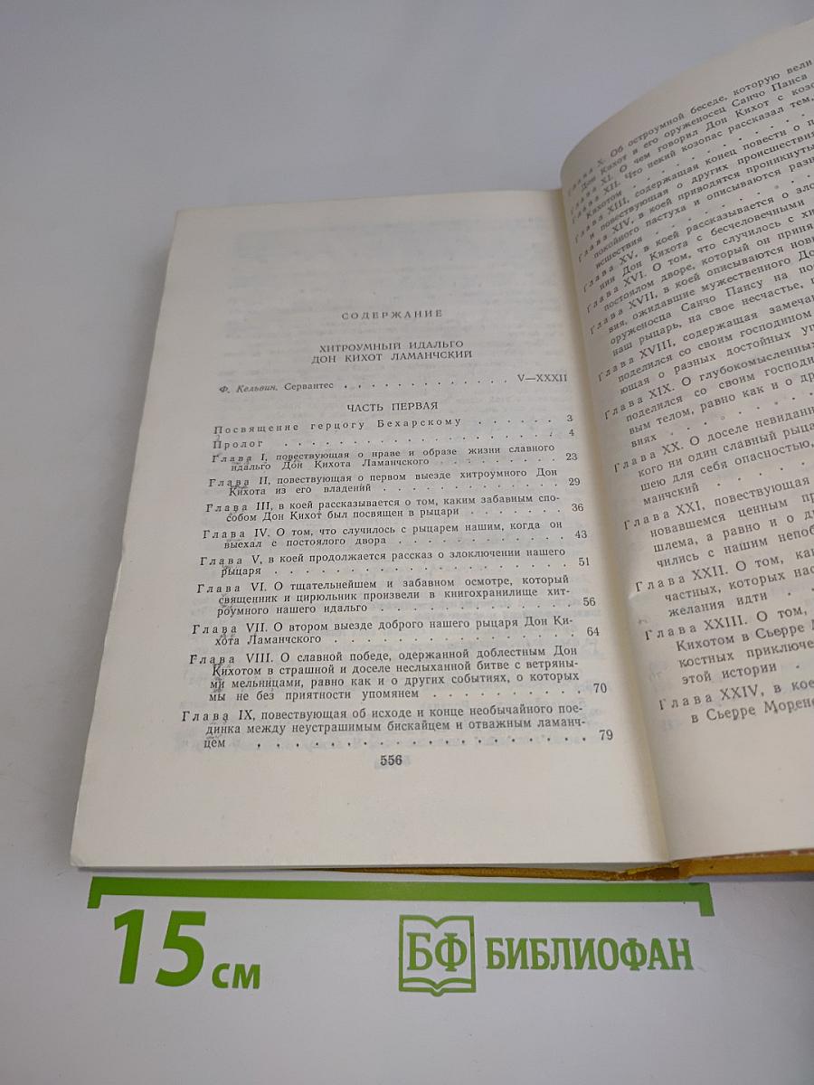 Хитроумный идальго Дон Кихот Ламанчский. Часть 1