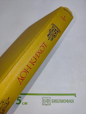 Хитроумный идальго Дон Кихот Ламанчский. Часть 1
