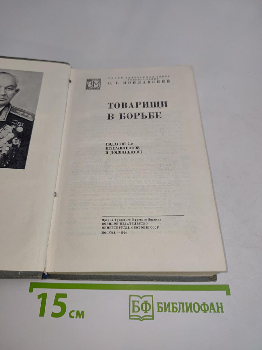 Товарищи в борьбе