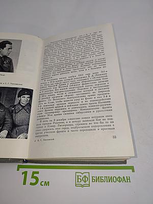 Товарищи в борьбе
