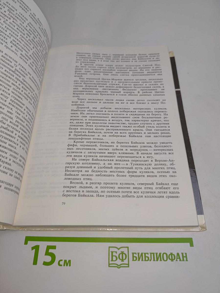 На очарованном берегу