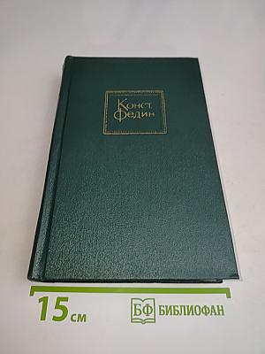 Необыкновенное лето. Роман. Том шестой