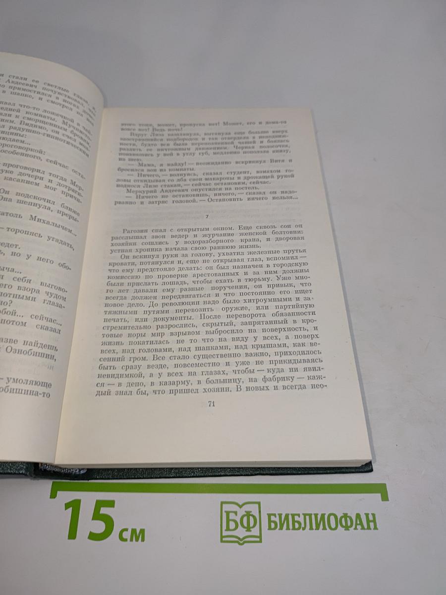 Необыкновенное лето. Роман. Том шестой