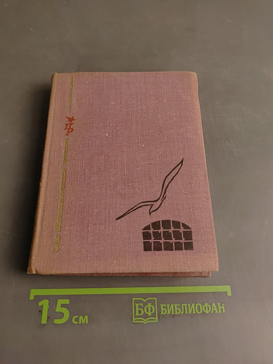 Смотритель Соколов