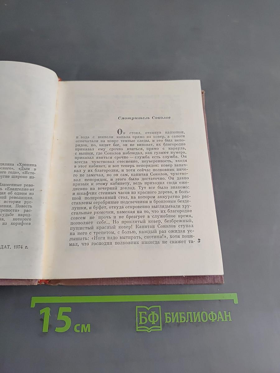 Смотритель Соколов
