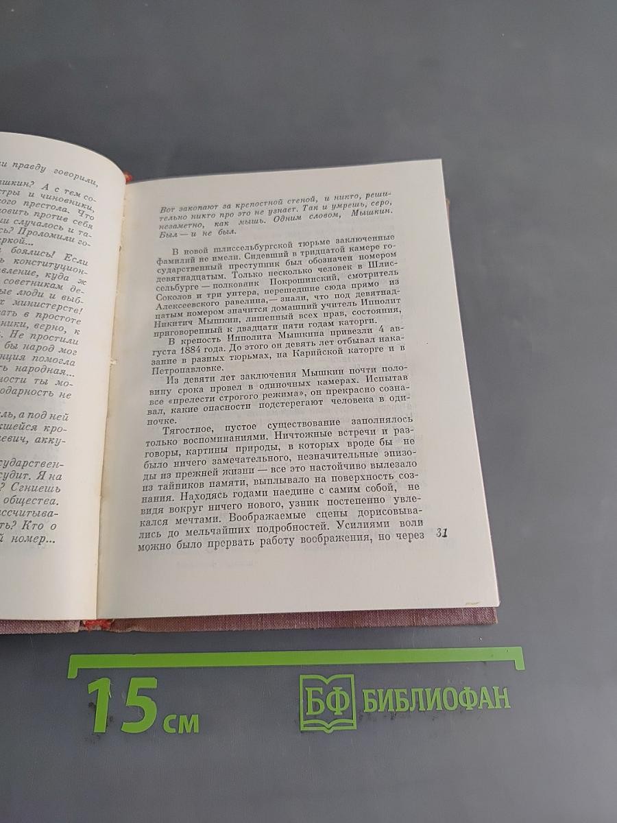 Смотритель Соколов