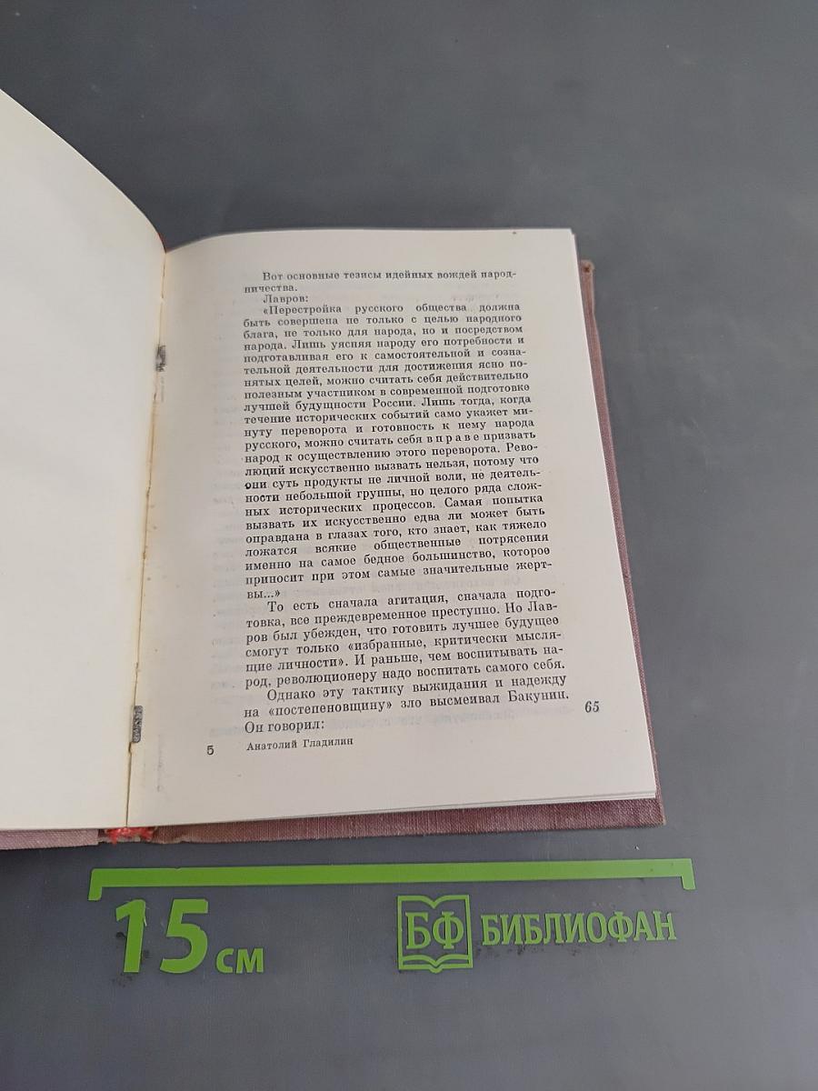 Смотритель Соколов