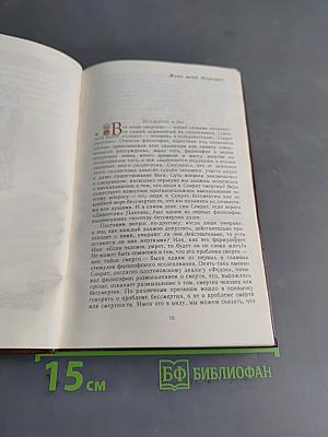 Иллюзия бессмертия